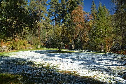 Forest Houses, November 2015